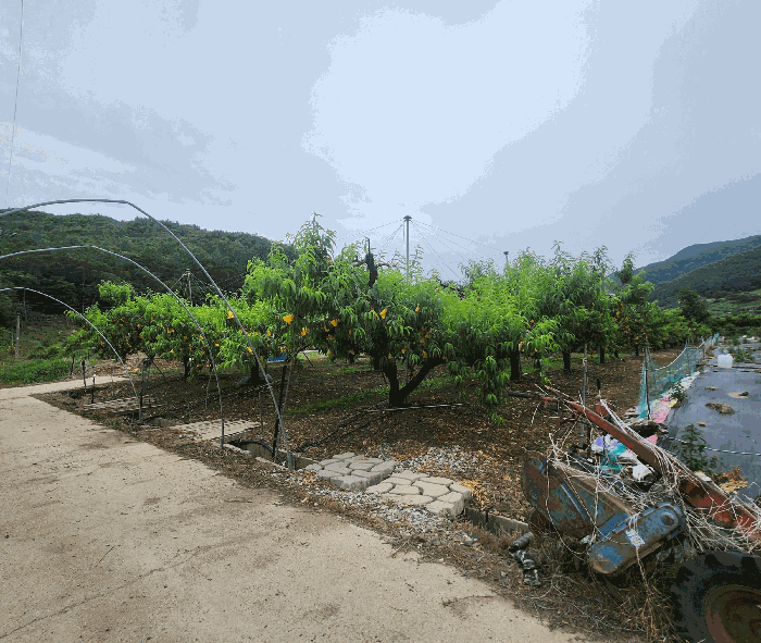 충북 보은군 마로면 대지,임야,전답 경매 물건 사진 3 · 2026타경50627