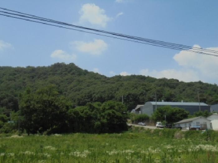 충북 진천군 광혜원면 임야 경매 물건 사진