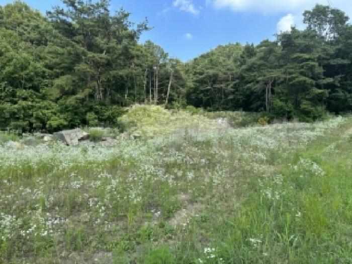 충북 보은군 수한면 과수원 경매 물건 사진 2 · 2026타경50684