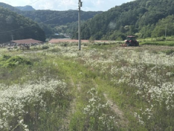 충북 보은군 수한면 과수원 경매 물건 사진 3 · 2026타경50684