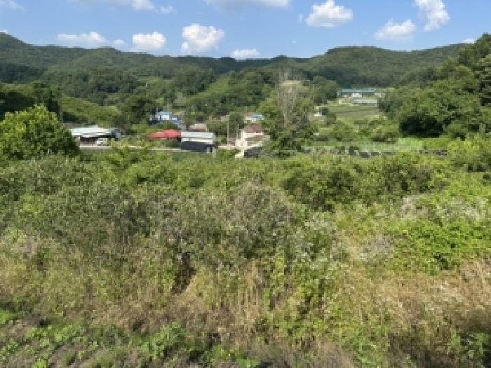 충북 보은군 수한면 과수원 경매 물건 사진 4 · 2026타경50684