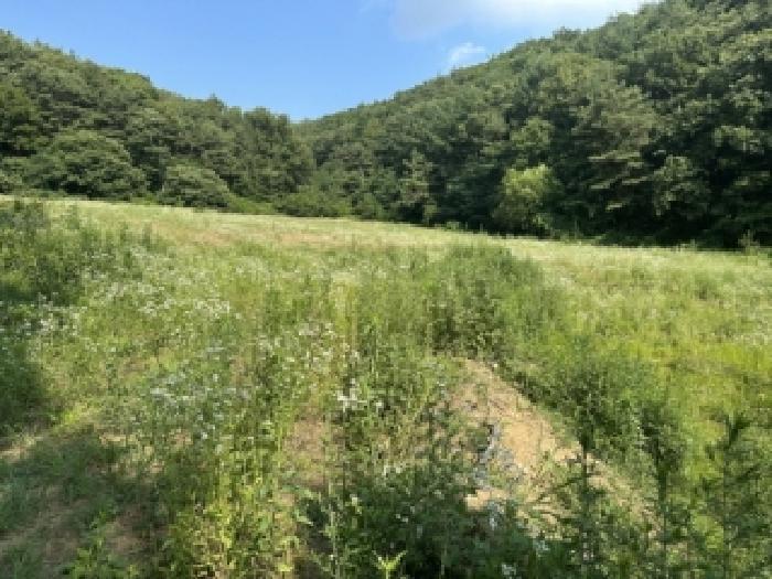 충북 보은군 수한면 과수원 경매 물건 사진 6 · 2026타경50684