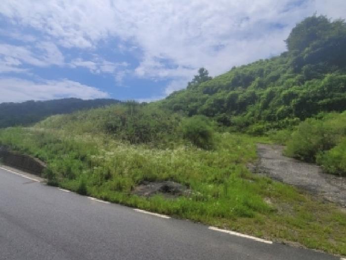 충북 청주시 상당구 가덕면 임야 경매 물건 사진 2 · 2026타경50725