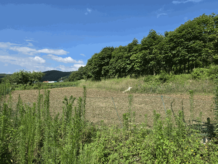 충북 청주시 상당구 미원면 전답 경매 물건 사진 6 · 2026타경50759
