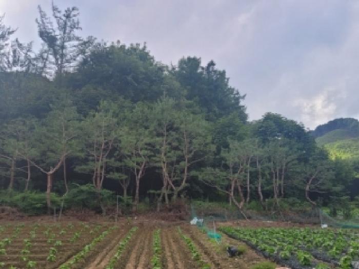 충북 청주시 상당구 미원면 전답 경매 물건 사진 3 · 2026타경50759