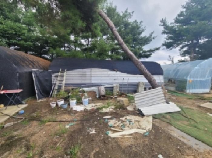 충북 청주시 상당구 낭성면 동물및식물관련시설 경매 물건 사진