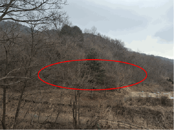 충북 청주시 상당구 낭성면 전답 경매 물건 사진 5 · 2026타경56