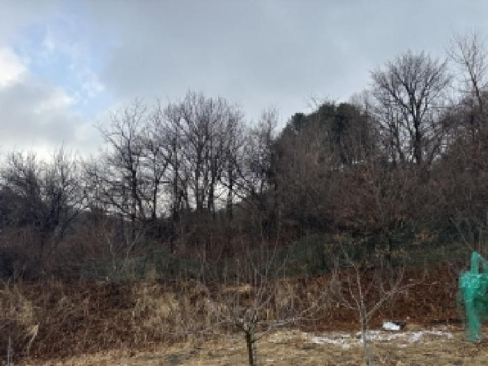 충북 청주시 상당구 낭성면 전답 경매 물건 사진