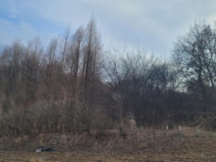 충북 괴산군 사리면 임야 경매 물건 사진 2 · 2026타경57