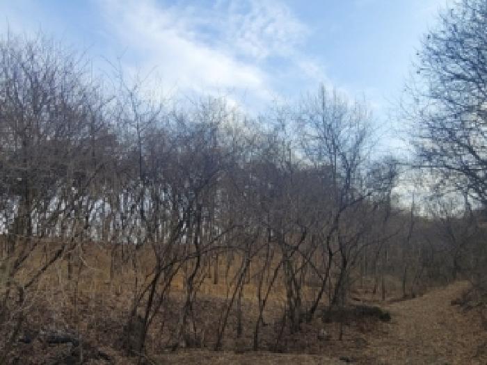 충북 괴산군 사리면 임야 경매 물건 사진 4 · 2026타경57