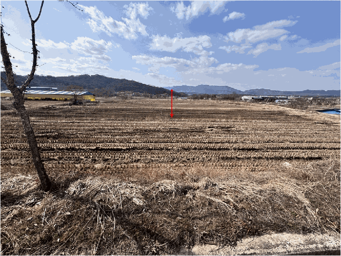 충북 괴산군 사리면 임야 경매 물건 사진 6 · 2026타경57