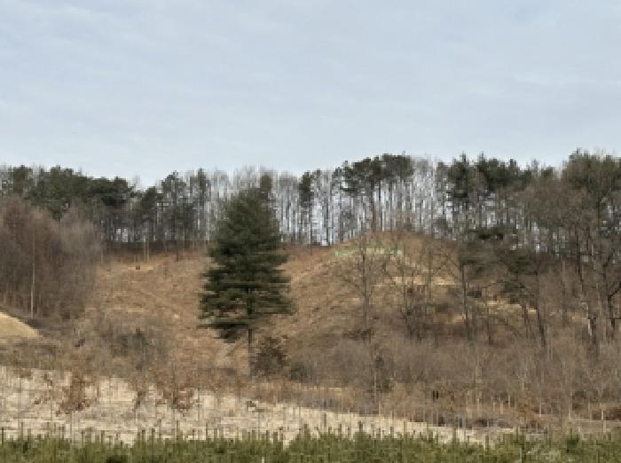 충북 청주시 상당구 미원면 임야 경매 물건 사진