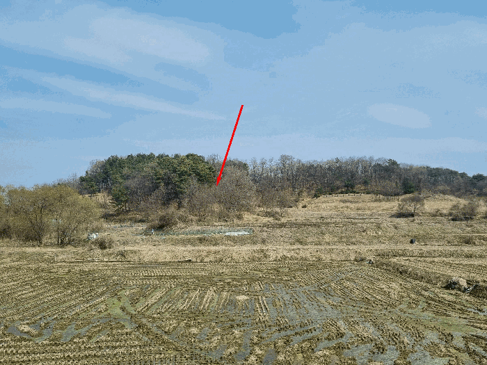 충북 청주시 청원구 내수읍 목장용지 경매 물건 사진 4 · 2026타경63
