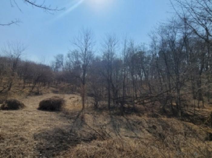 충북 청주시 청원구 내수읍 목장용지 경매 물건 사진