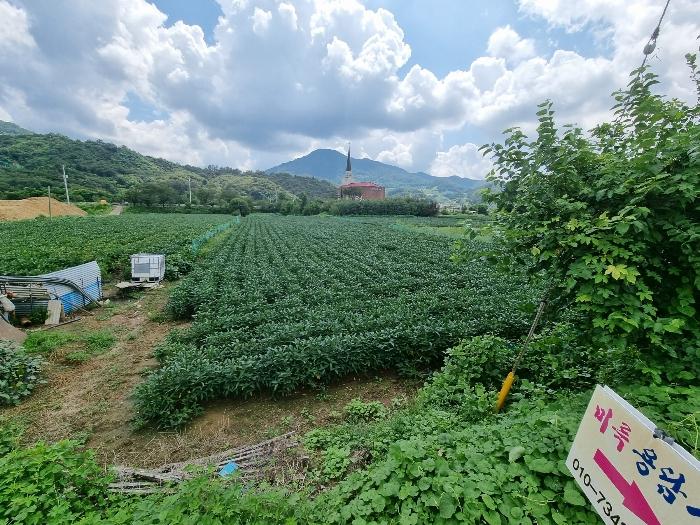 충북 충주시 동량면 전 경매 물건 사진 6 · 2023타경1728