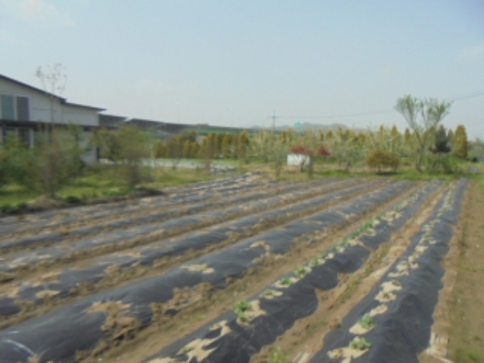 충북 충주시 용관동 창고시설 경매 물건 사진 6 · 2024타경1152