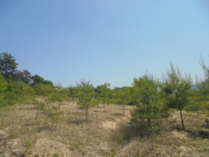 충북 충주시 앙성면 도로 경매 물건 사진