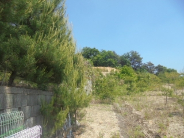 충북 충주시 앙성면 도로 경매 물건 사진 2 · 2024타경1404