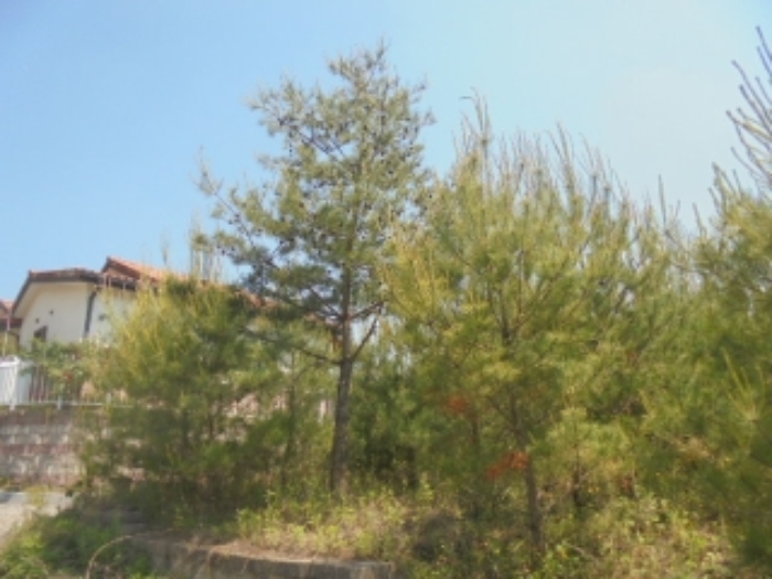 충북 충주시 앙성면 도로 경매 물건 사진 6 · 2024타경1404