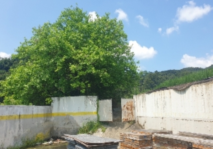 충북 음성군 원남면 위험물저장및처리시설 경매 물건 사진 3 · 2024타경2384