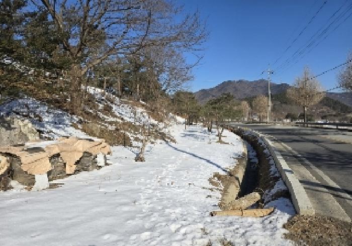 충북 충주시 노은면 답 경매 물건 사진 4 · 2024타경3004