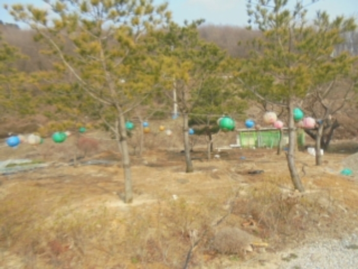 충북 충주시 앙성면 단독주택 경매 물건 사진 5 · 2024타경31368