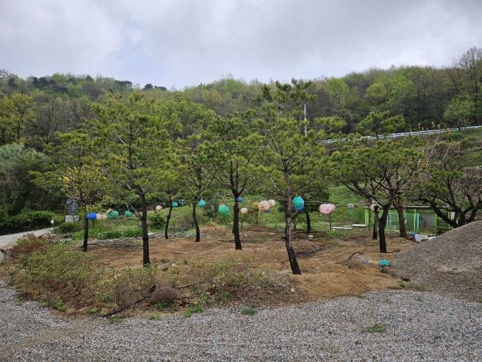 충북 충주시 앙성면 단독주택 경매 물건 사진 6 · 2024타경31368