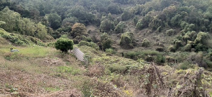 충북 충주시 용탄동 전 경매 물건 사진 3 · 2024타경3158