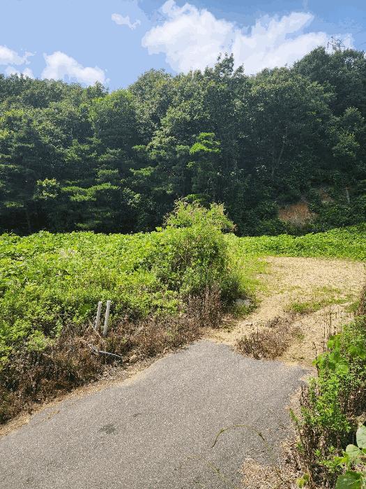 충북 음성군 감곡면 대지 경매 물건 사진 4 · 2024타경33029