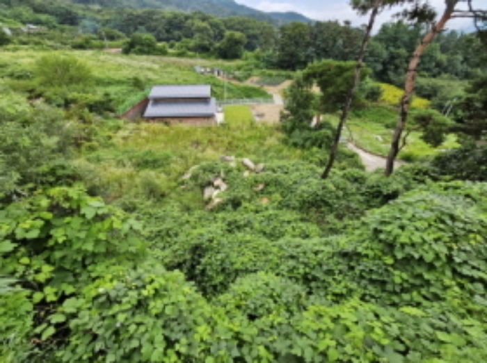 충북 음성군 감곡면 대지 경매 물건 사진 5 · 2024타경33029