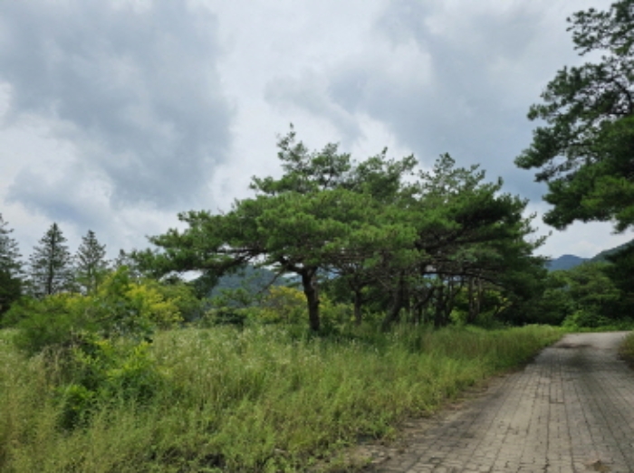 충북 충주시 동량면 답 경매 물건 사진 3 · 2024타경33517