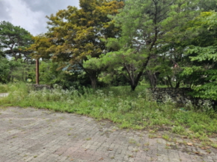 충북 충주시 동량면 답 경매 물건 사진 4 · 2024타경33517