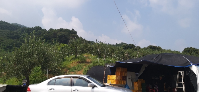 충청북도 충주시 가주동 산67-2 단독주택 경매 물건 사진