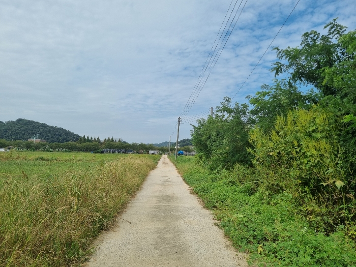 충북 음성군 금왕읍 답 경매 물건 사진 4 · 2024타경34213