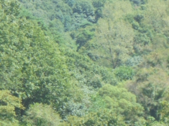 충북 충주시 수안보면 임야 경매 물건 사진 4 · 2024타경34572