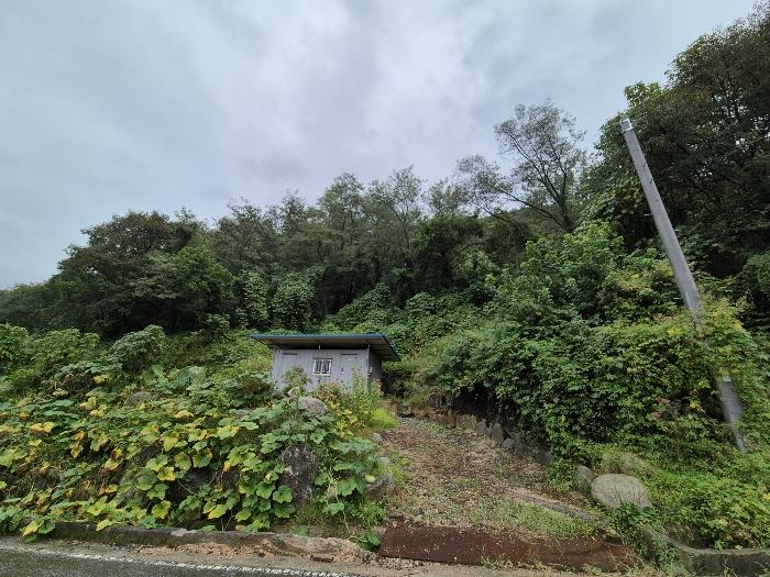 충북 충주시 수안보면 임야 경매 물건 사진