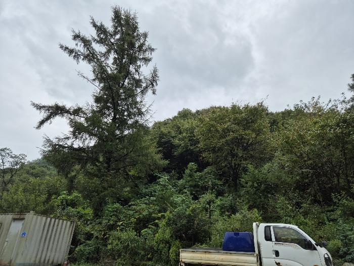 충북 충주시 수안보면 임야 경매 물건 사진 5 · 2024타경34572