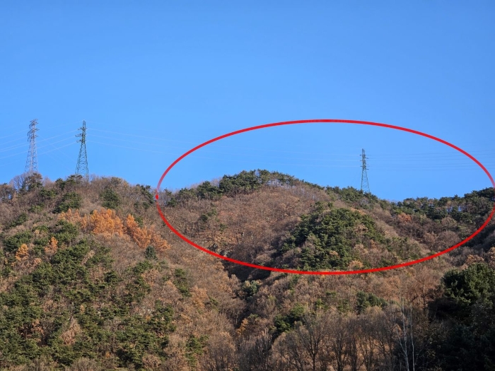 충북 충주시 호암동 임야 경매 물건 사진 4 · 2024타경3561