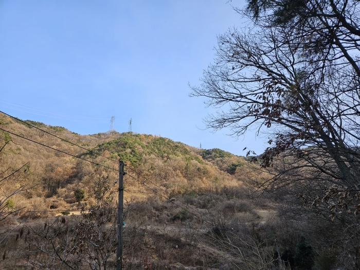 충북 충주시 호암동 임야 경매 물건 사진 5 · 2024타경3561