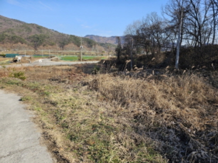 충북 충주시 앙성면 전 경매 물건 사진 4 · 2024타경35704