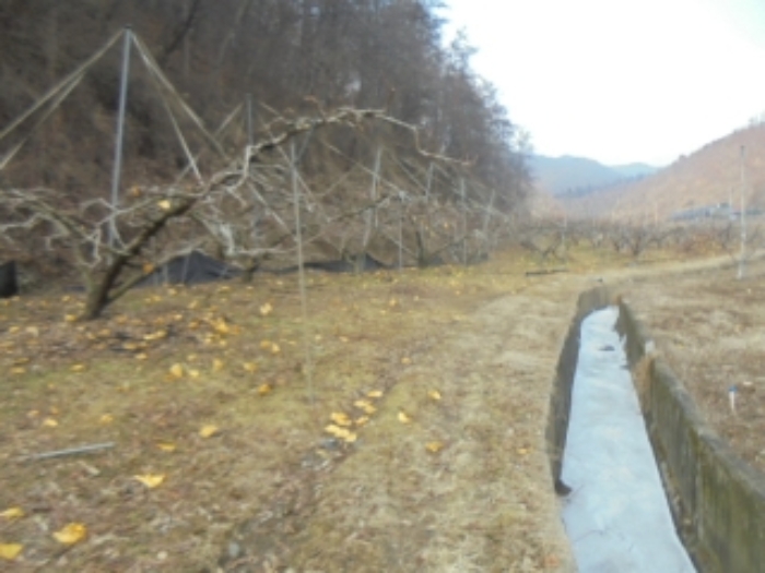 충북 충주시 살미면 전 경매 물건 사진 5 · 2024타경36264