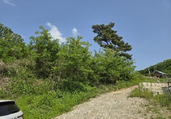 충북 충주시 엄정면 주거 98 경매 물건 사진 2 · 2025타경1005