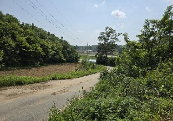 충북 충주시 엄정면 주거 98 경매 물건 사진 6 · 2025타경1005