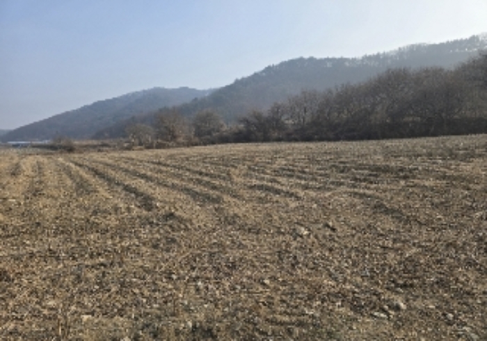 충북 음성군 원남면 전답 경매 물건 사진