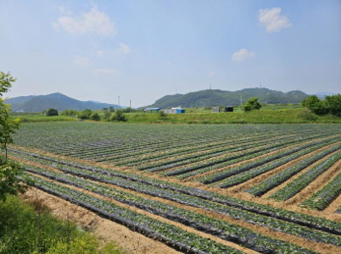 충북 충주시 중앙탑면 전 경매 물건 사진 2 · 2025타경1098