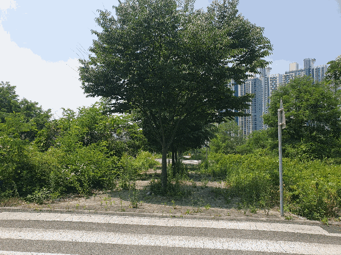 충북 충주시 주덕읍 대지 경매 물건 사진 5 · 2025타경1173