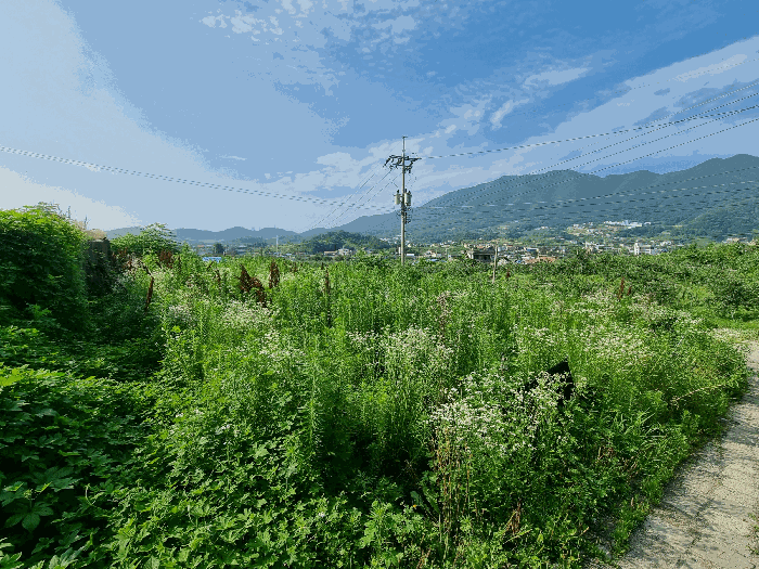 충북 충주시 안림동 과수원 경매 물건 사진 5 · 2025타경1241
