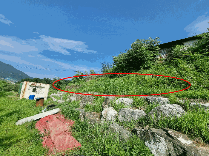 충북 충주시 안림동 과수원 경매 물건 사진 6 · 2025타경1241
