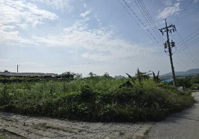 충북 충주시 안림동 과수원 경매 물건 사진
