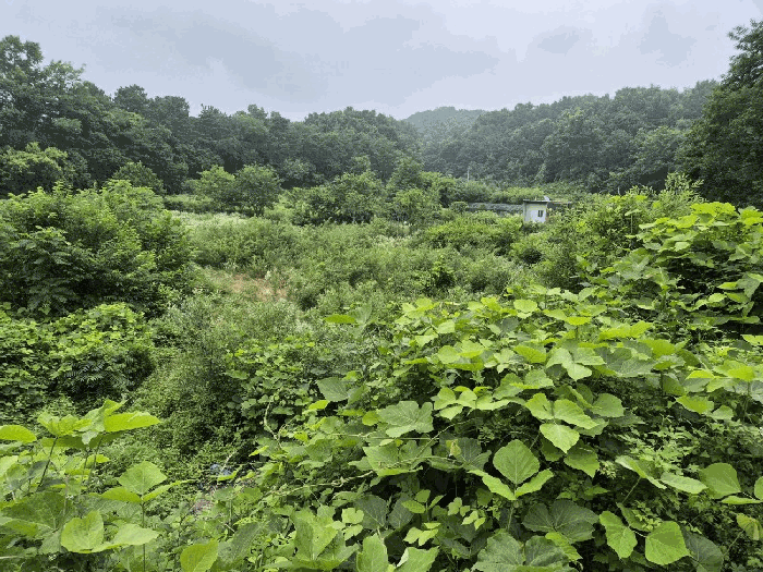충북 음성군 원남면 답 경매 물건 사진 4 · 2025타경1289